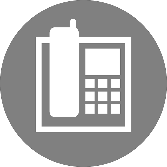 VoIP Phone Servers